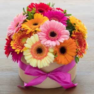 Cilindro gerberas